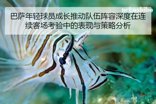 巴萨年轻球员成长推动队伍阵容深度在连续客场考验中的表现与策略分析