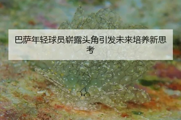 巴萨年轻球员崭露头角引发未来培养新思考